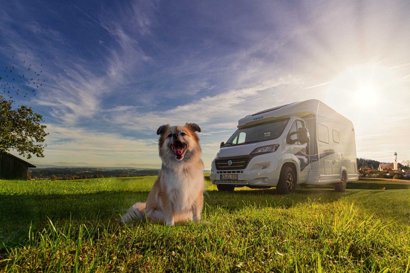 happydogmobil - wohnmobil mieten